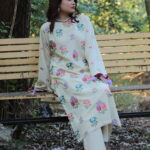 2 piece embroidered karandi suit