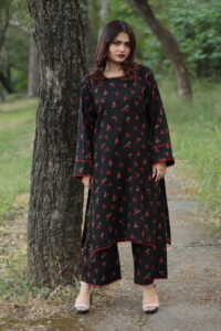 2 piece Whool Pashmina Suit Printed - Image 2