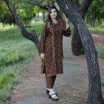 2 piece Pashmina Suit Printed