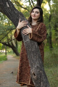 2 piece Pashmina Suit Printed - Image 3