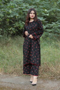 2 piece Whool Pashmina Suit Printed
