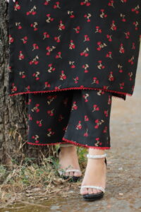 2 piece Whool Pashmina Suit Printed - Image 7