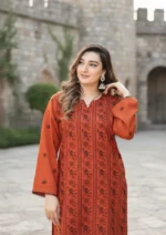 2 Piece Embroidered Karandi Suit