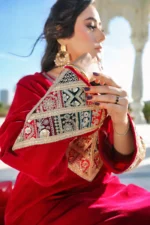 Velvet 3-Piece Embroidered Suit with Organza Dupatta - Image 6